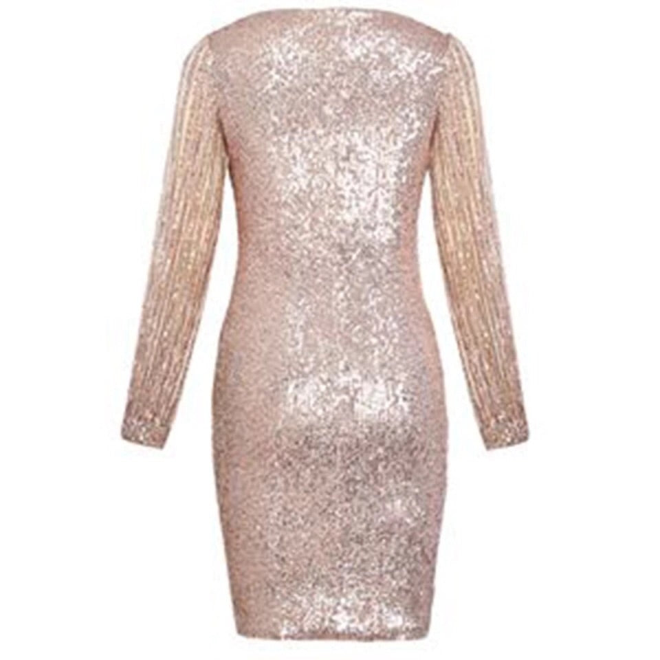 Women V Neck Sequined Glitter Dress
